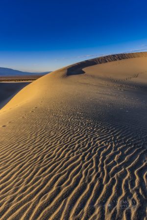 mesquite dunes_3.jpg
